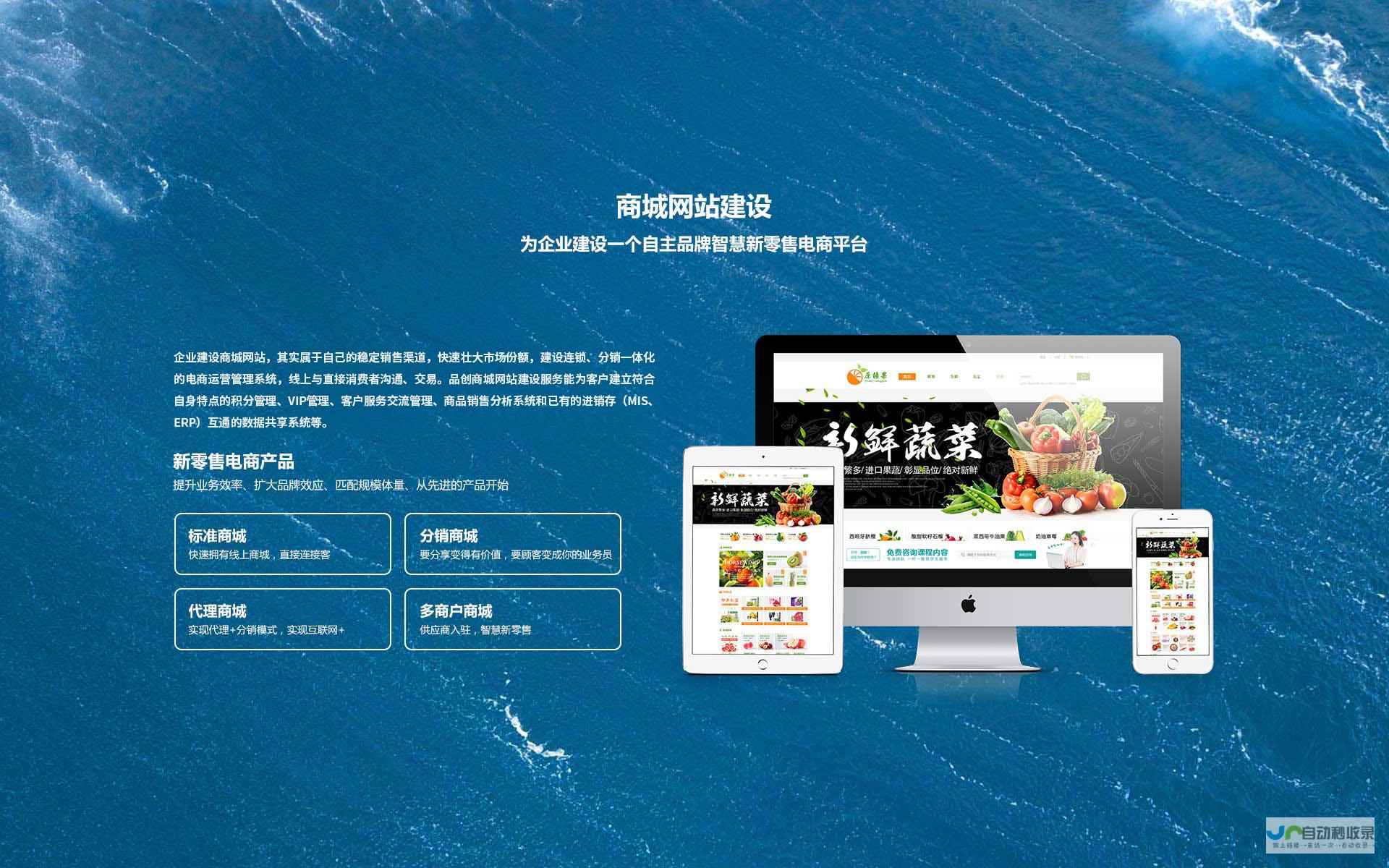 陕西SEO优化：深度剖析陕西地区网站优化策略及关键技巧